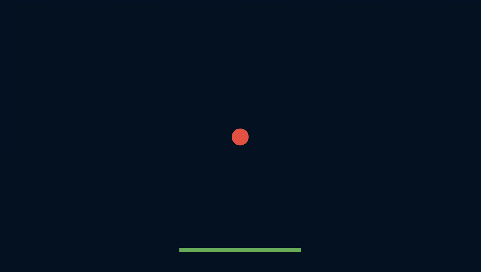 Ping Pong Paddle
