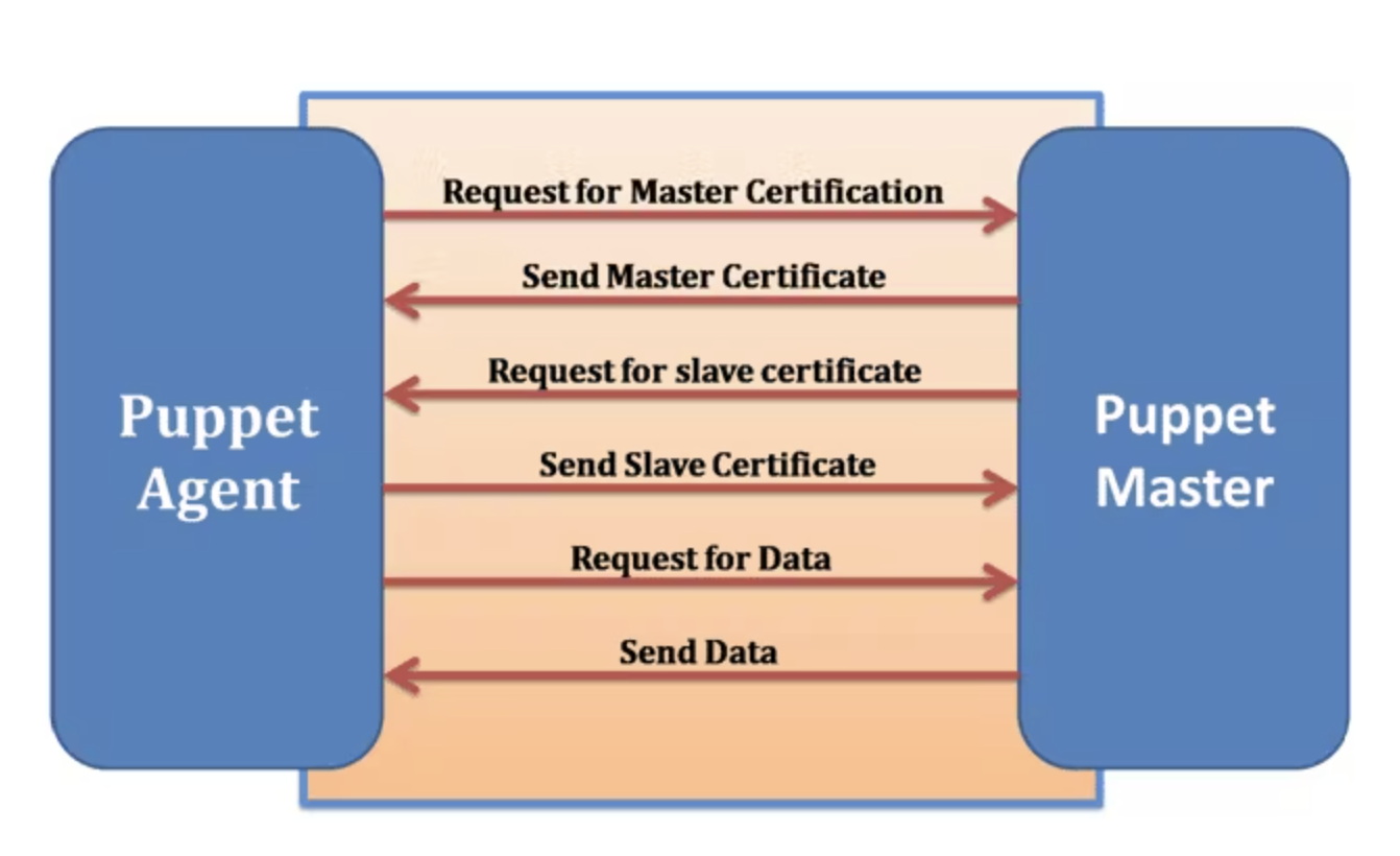 The Puppet daemon that runs on a target system (or node) is known as the Puppet agent. The agent must have the appropriate privileges for the node on which it is enabled so that it can apply the configuration catalogs that it pulls from the Puppet master. The agent gains communication privileges from the master server by requesting an Secure Socket Layer (SSL) certificate the first time that it contacts the master. Subsequently, whenever the agent polls the master for configuration updates, it only receives updates if its certificate is valid. The Puppet agent that runs on each of the target nodes must have the ability to modify most aspects of the system's configuration. This requirement enforces the state in which the master has indicated the agent should be. Because so much access to the system is required by the puppet agent, it is run as the root user or a user who is assigned the Puppet Management rights profile.