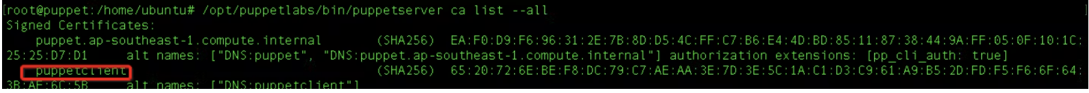 master node