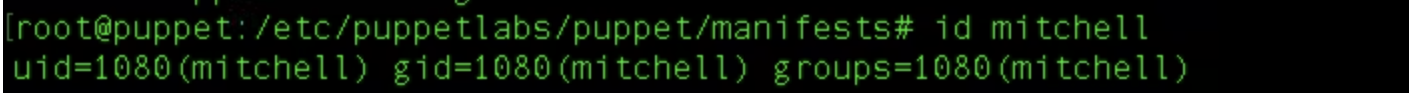 puppet user and group