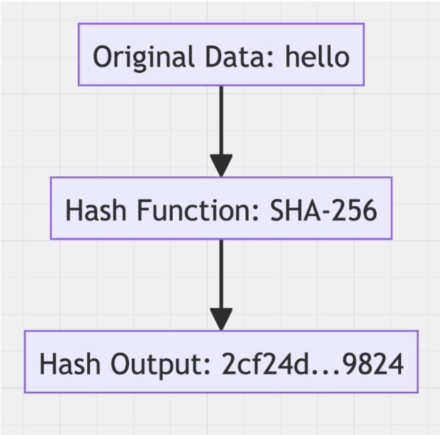Flowchart showing Hashing process