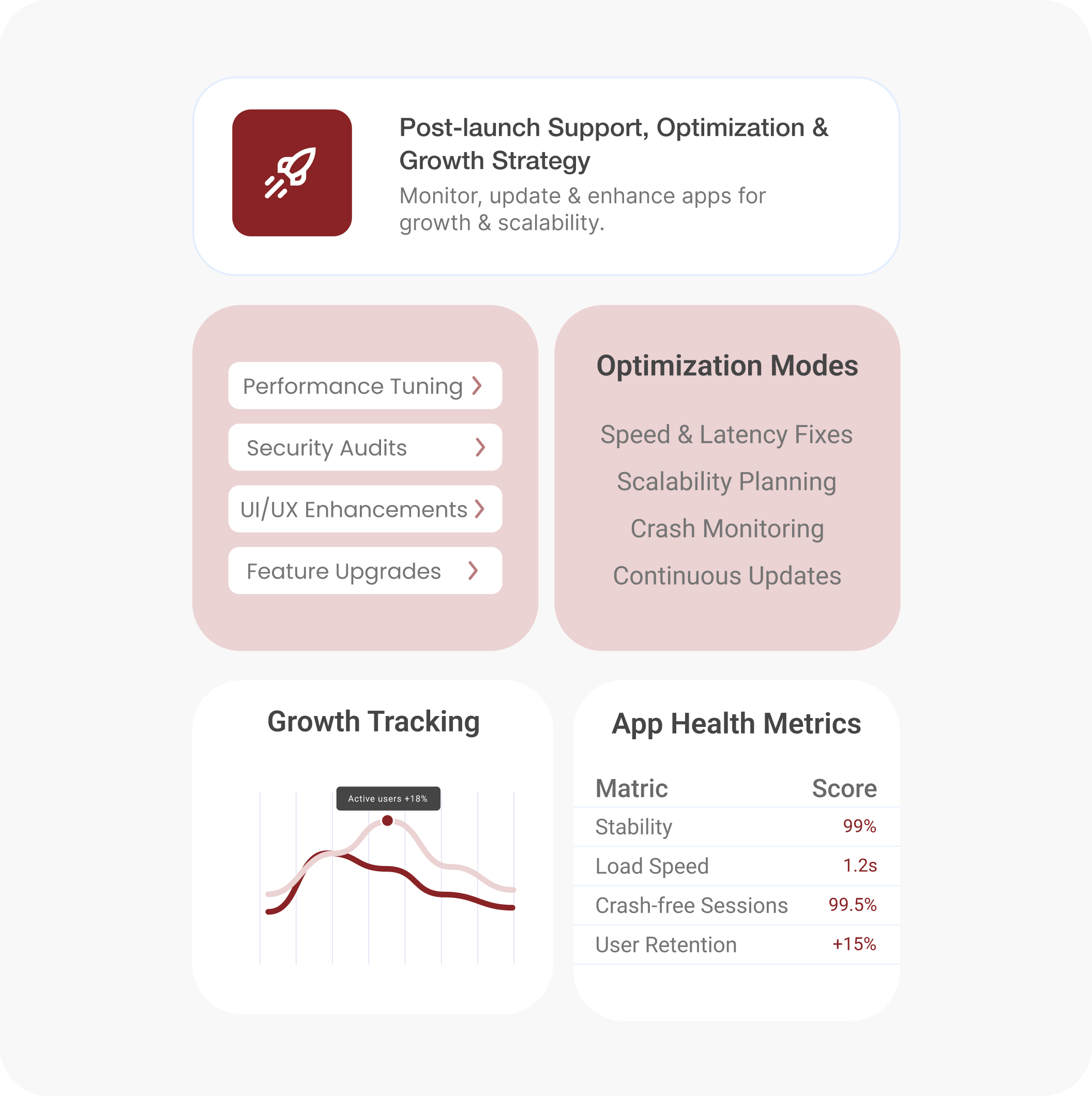 <span style="font-weight: normal;">Post-launch Support, Optimization & Growth Strategy</span>