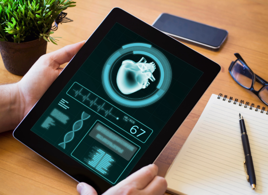 Medical Device Software & Embedded Systems